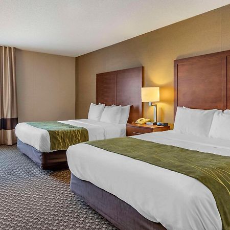 Comfort Inn שארלוט מראה חיצוני תמונה