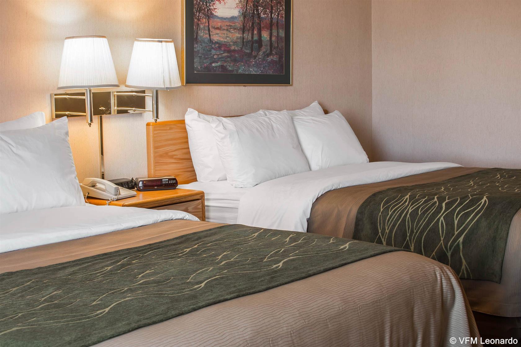 Comfort Inn שארלוט מראה חיצוני תמונה
