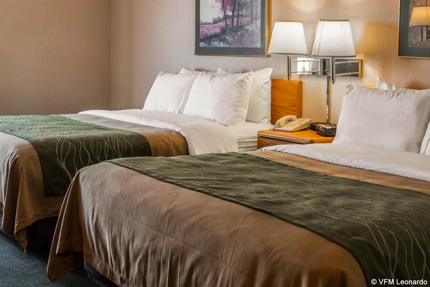 Comfort Inn שארלוט מראה חיצוני תמונה