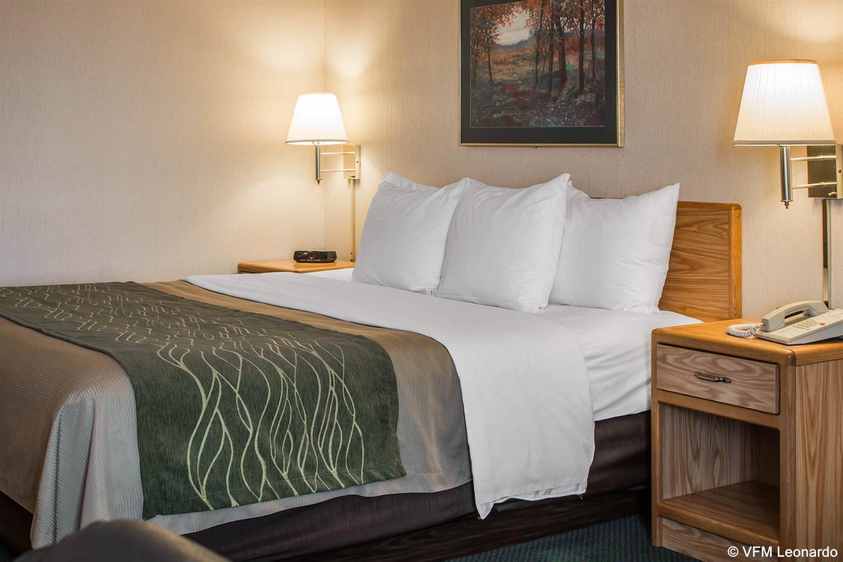 Comfort Inn שארלוט מראה חיצוני תמונה