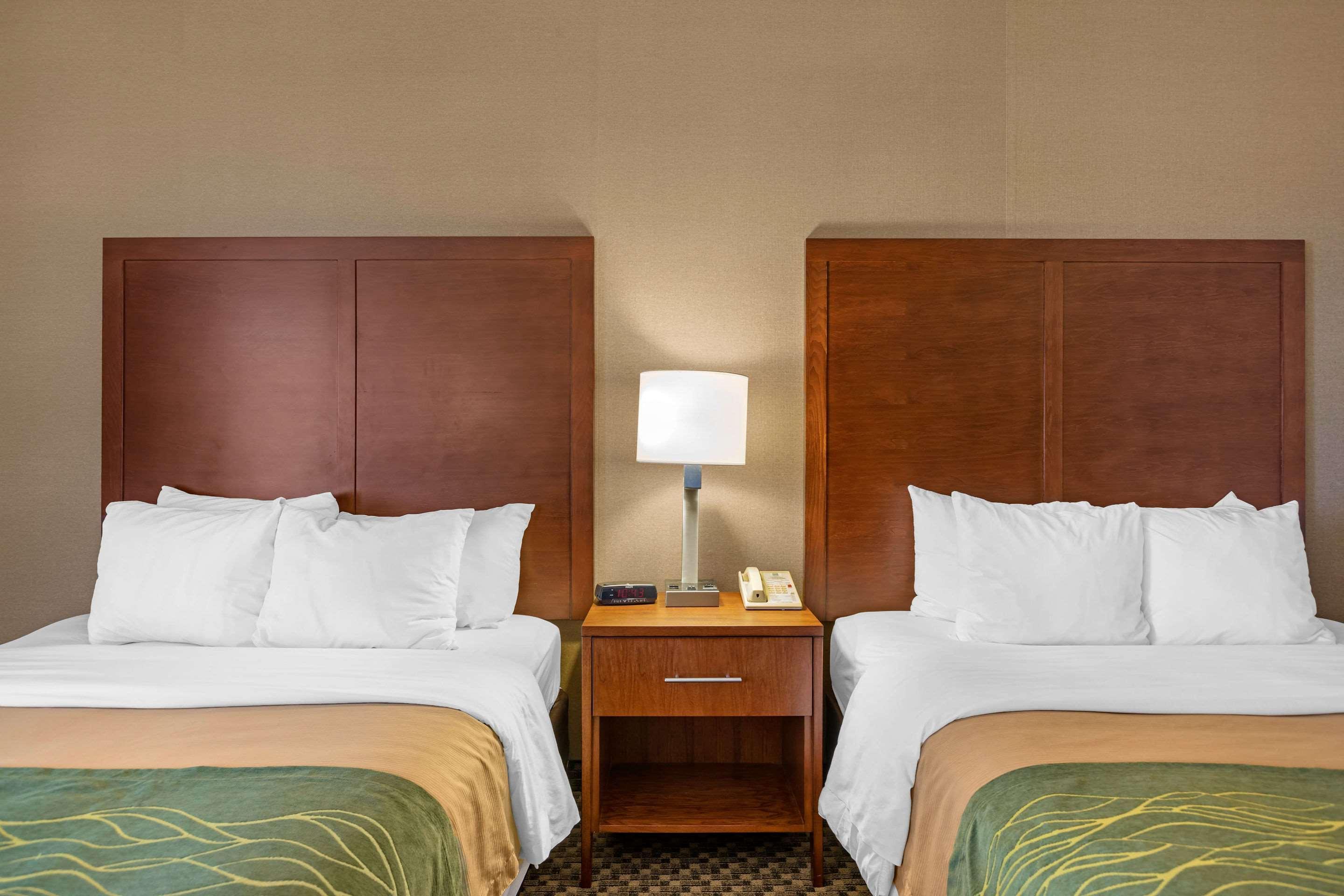 Comfort Inn שארלוט מראה חיצוני תמונה