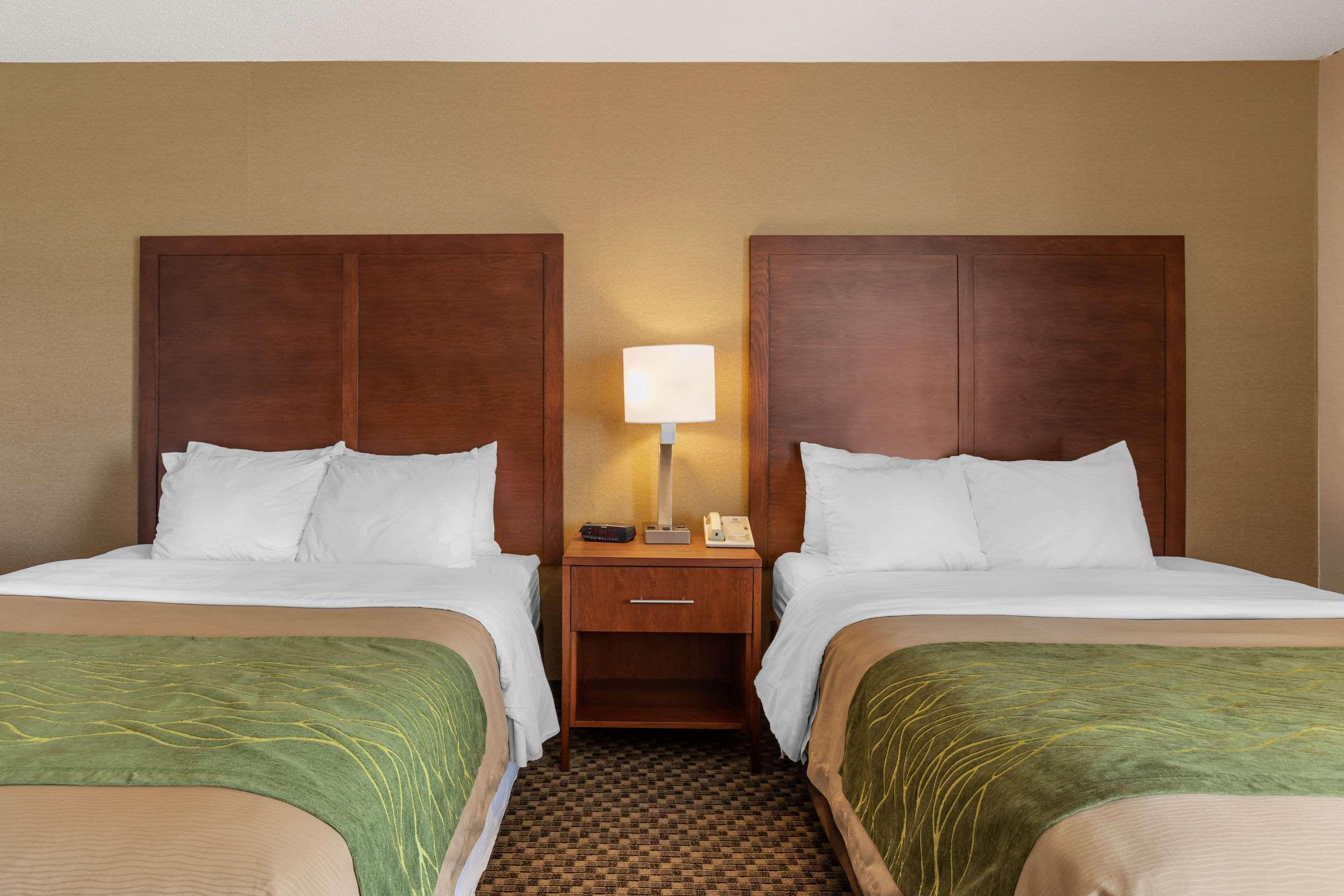 Comfort Inn שארלוט מראה חיצוני תמונה
