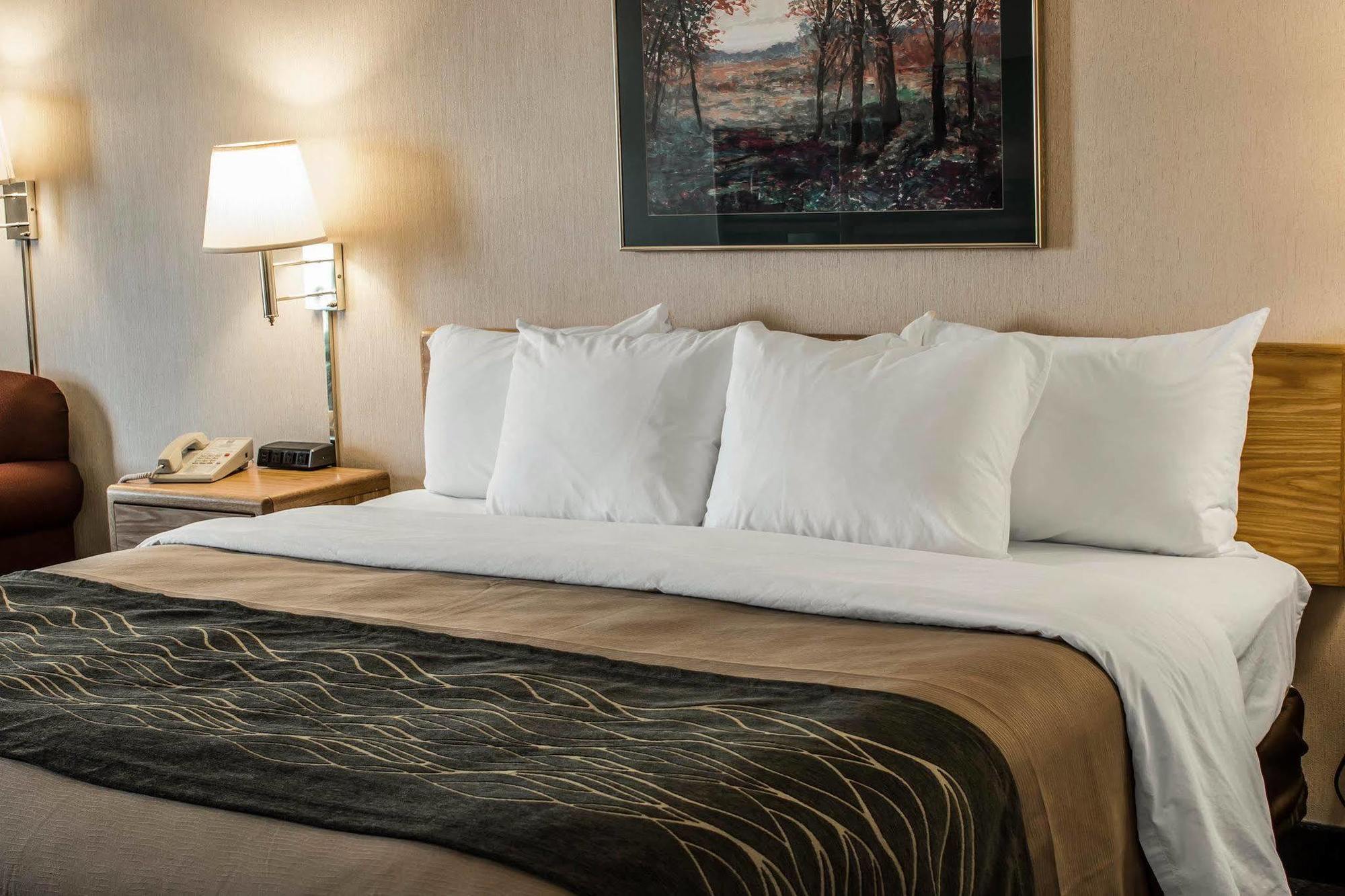 Comfort Inn שארלוט מראה חיצוני תמונה